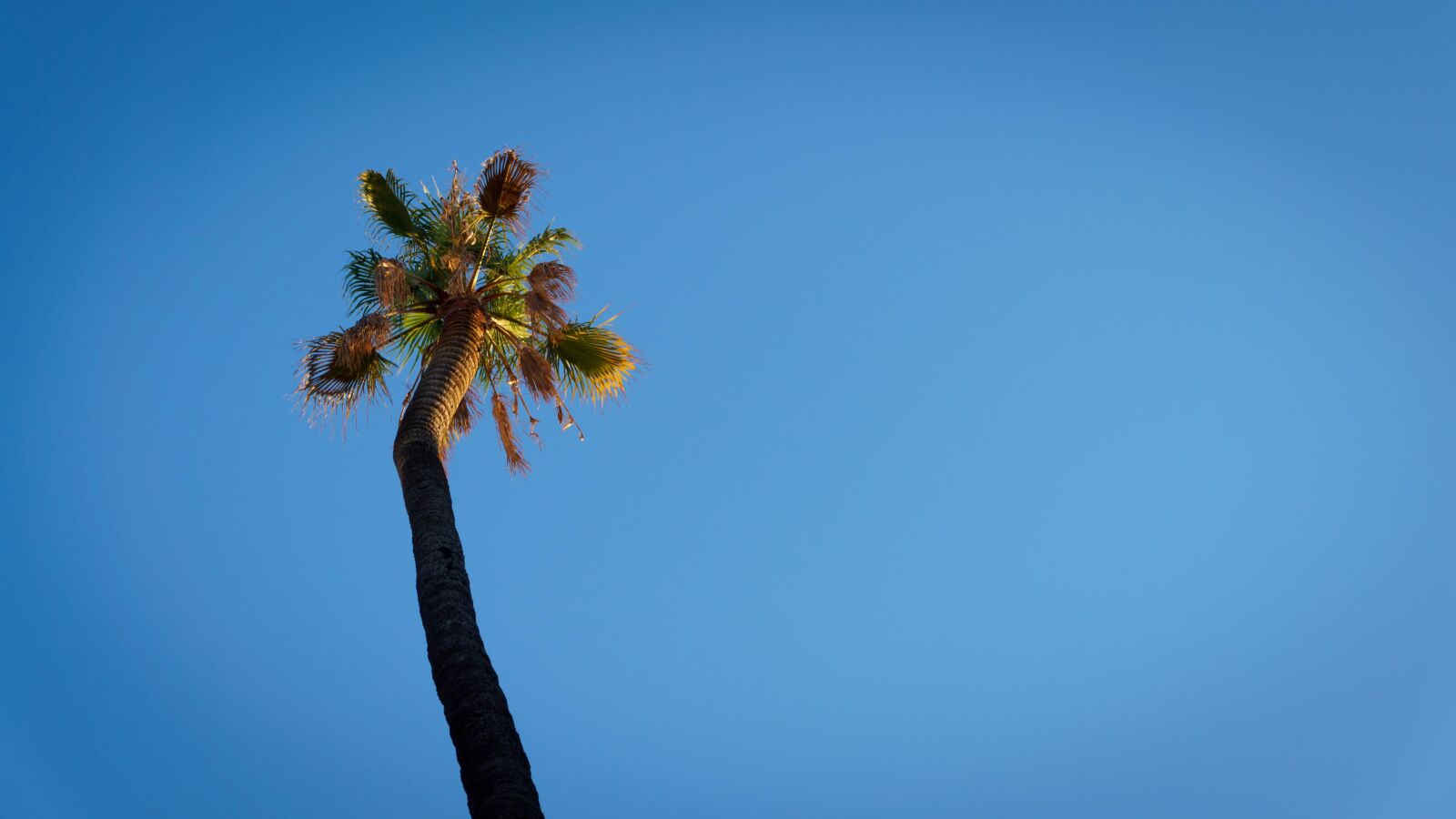 Sony E 16-50mm F3.5-5.6 PZ OSS sample photo. Low, angle, view, of photography