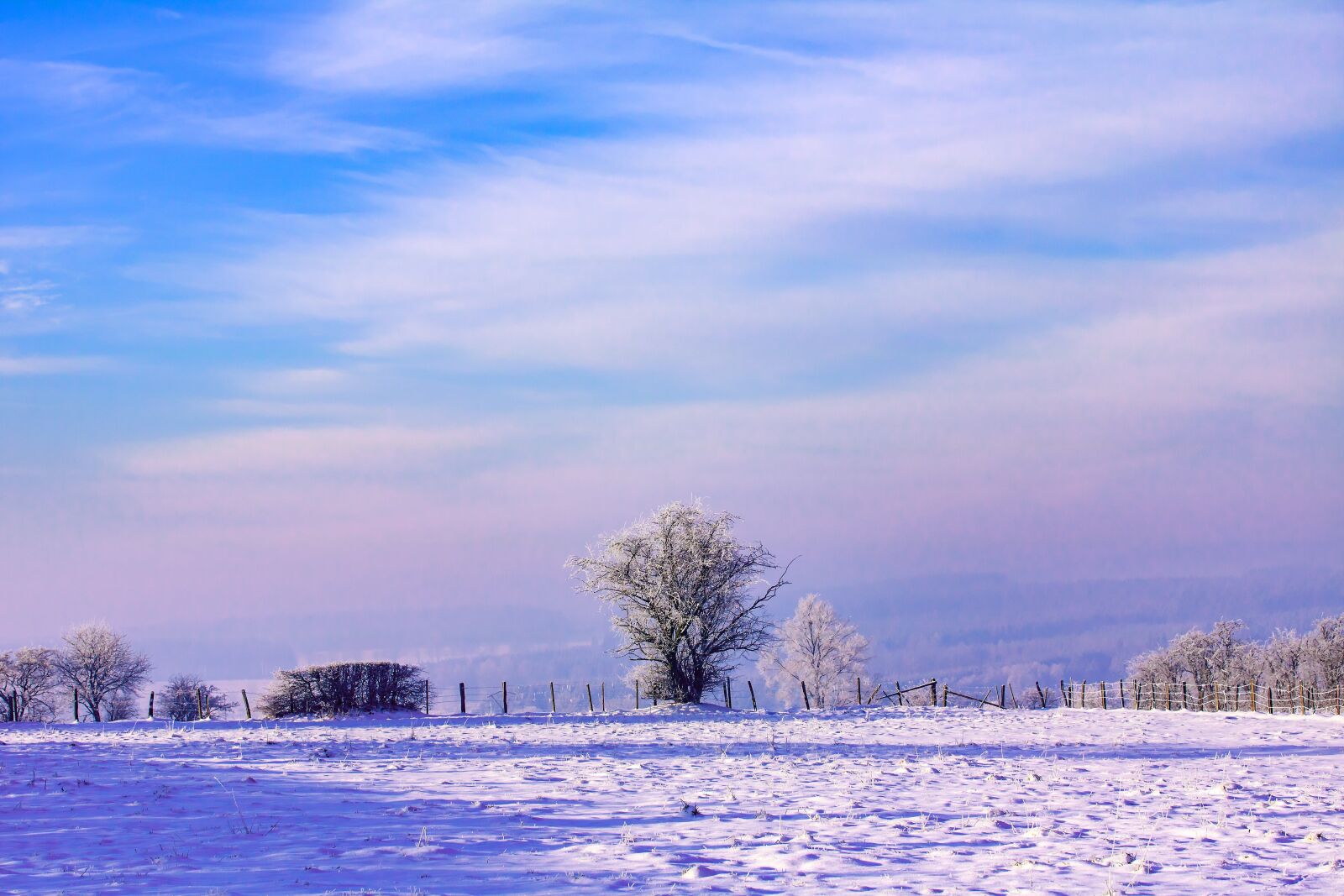 Canon EOS 750D (EOS Rebel T6i / EOS Kiss X8i) + Canon EF-S 60mm F2.8 Macro USM sample photo. Dawn, winter, snow photography