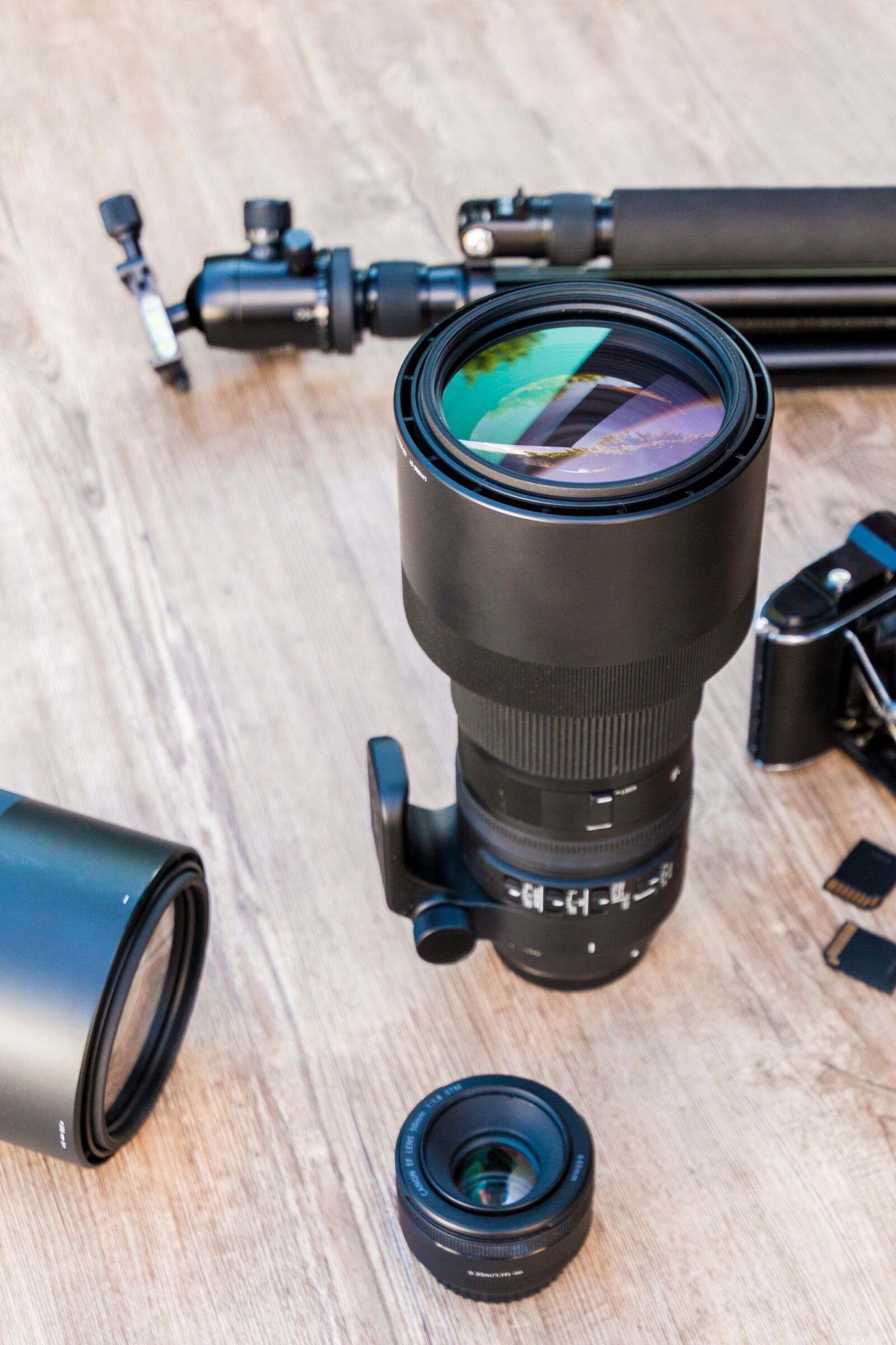 Canon EOS 70D sample photo. Zoom lens, 600mm, telephoto photography