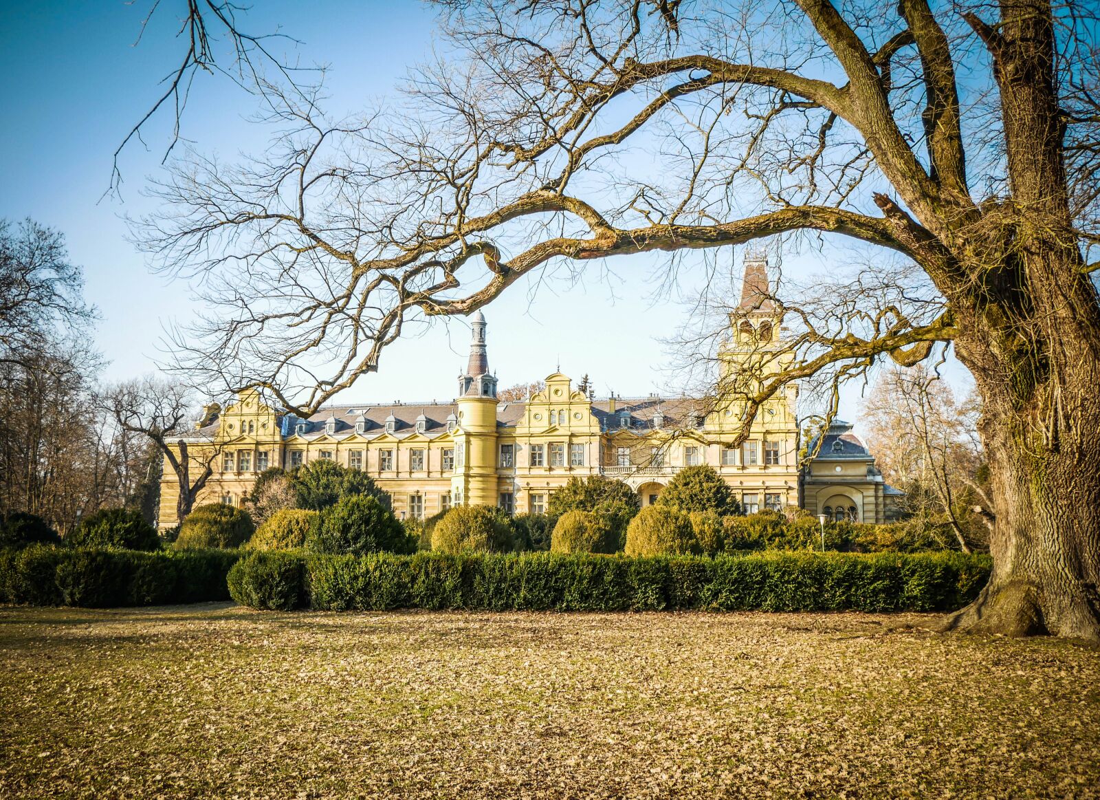 LUMIX G VARIO 12-60/F3.5-5.6 sample photo. Castle, wood, architecture photography