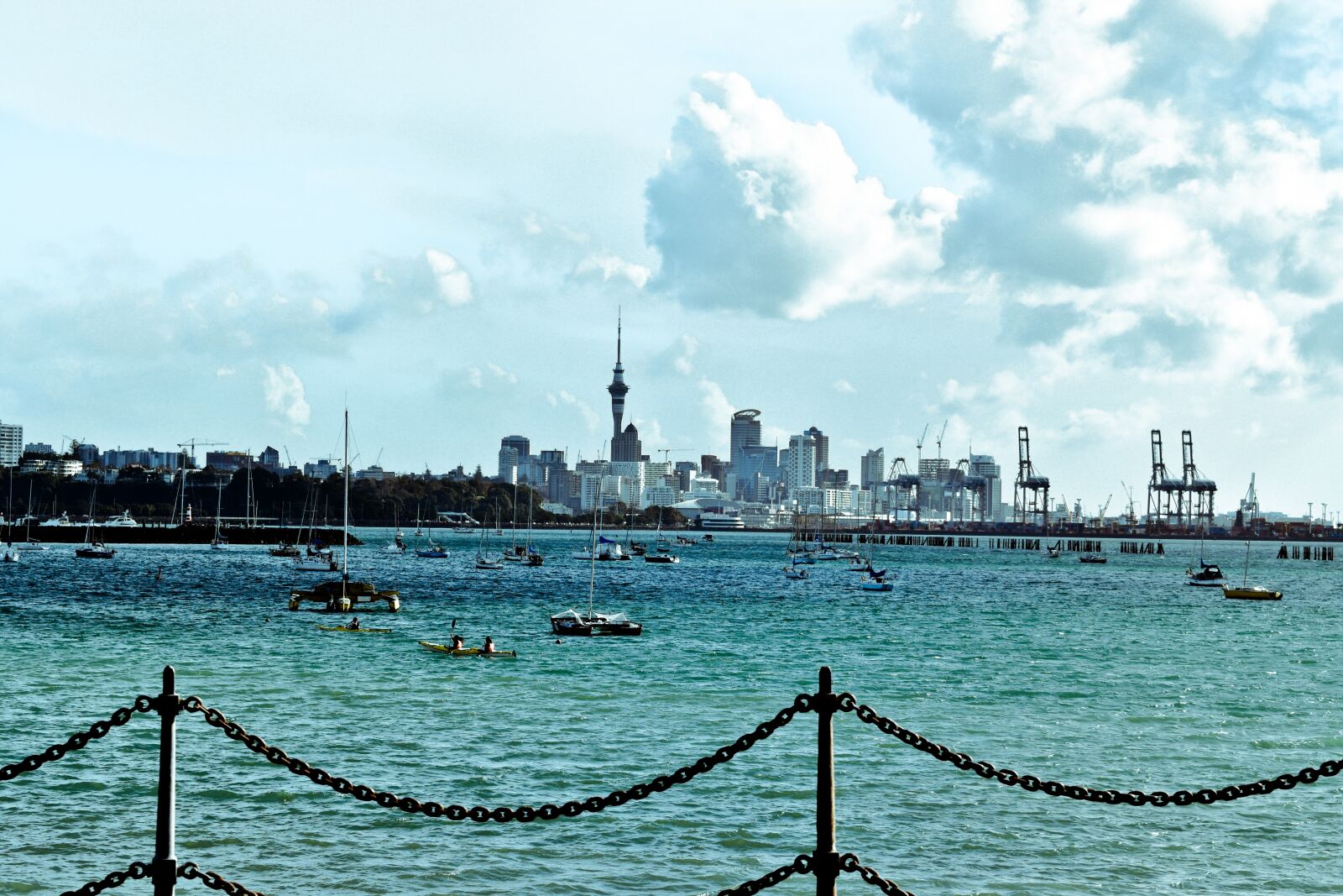 Nikon D5600 sample photo. City view, auckland, city photography