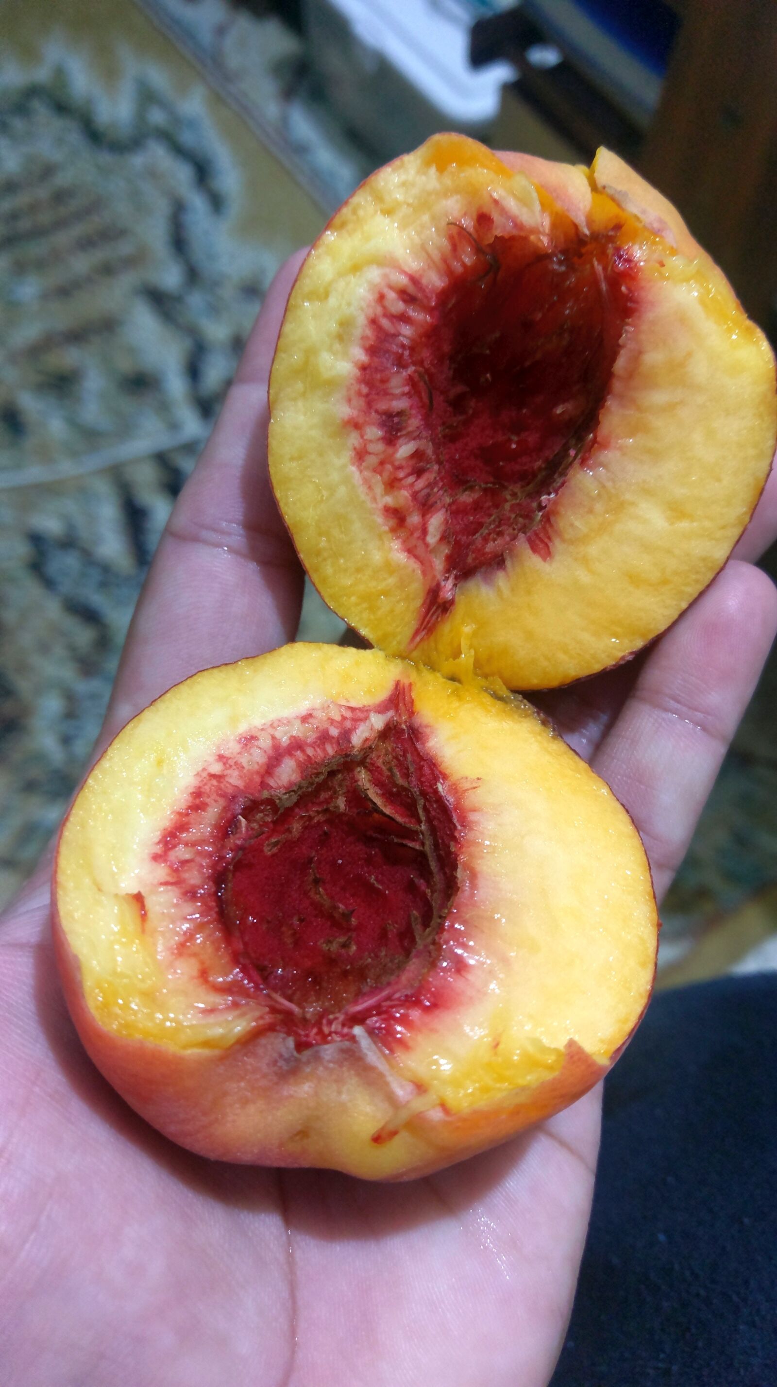 HTC 10 sample photo. Apricot, fruit, half fruit photography