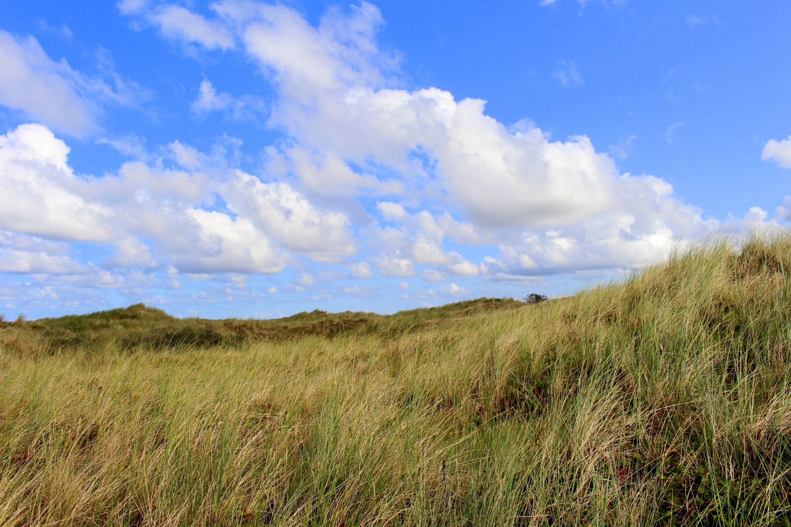 Canon EOS 700D (EOS Rebel T5i / EOS Kiss X7i) sample photo. Langeoog, landscape, sky photography