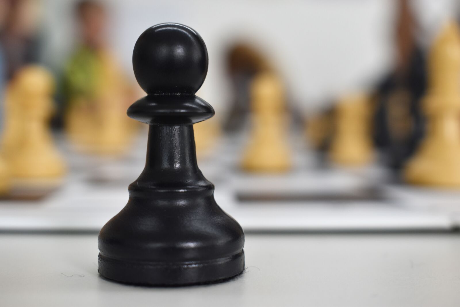 Nikon D5600 sample photo. Chess, strategy, bauer photography