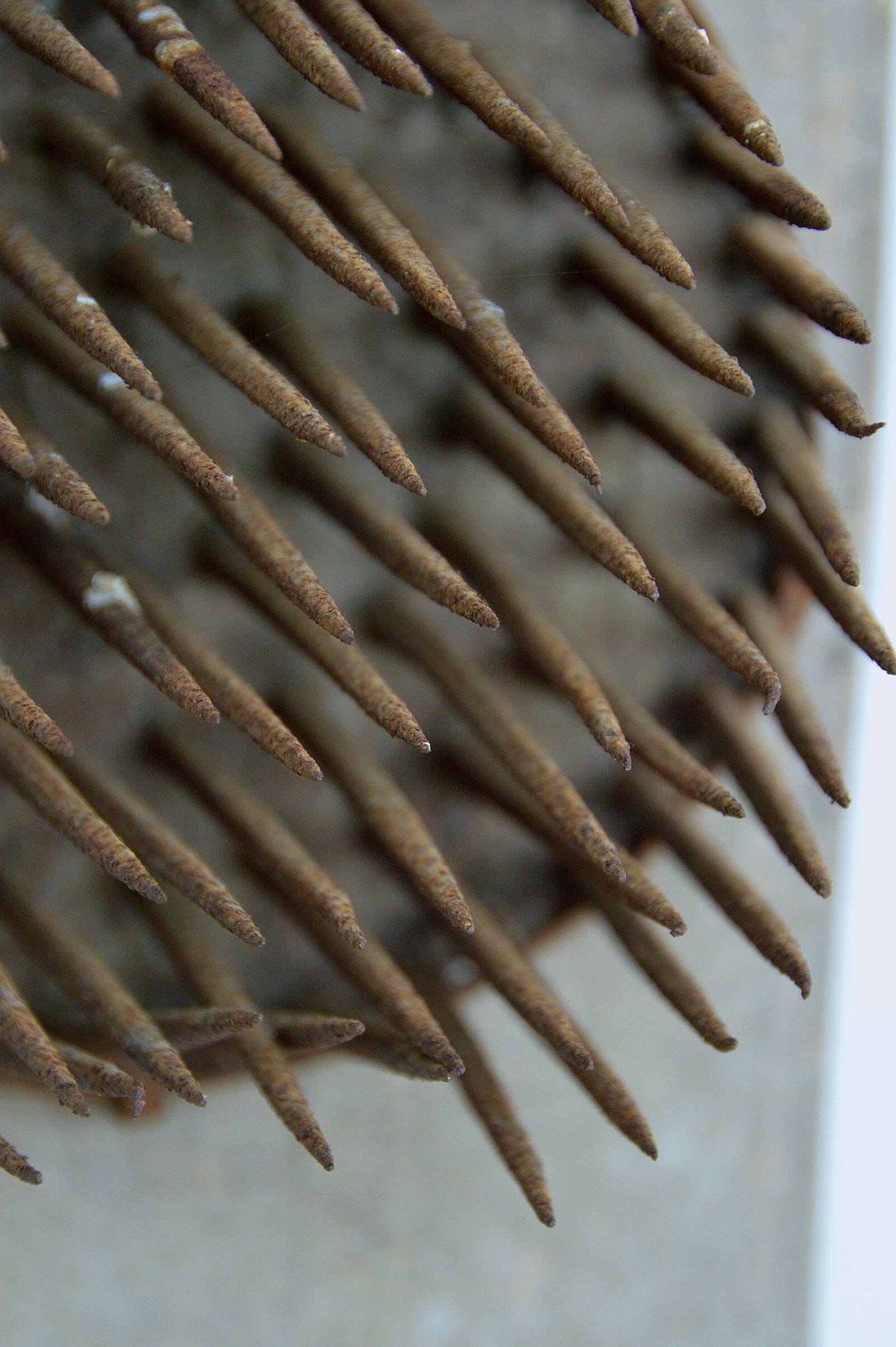 Nikon D3200 sample photo. Tool, region, brush photography