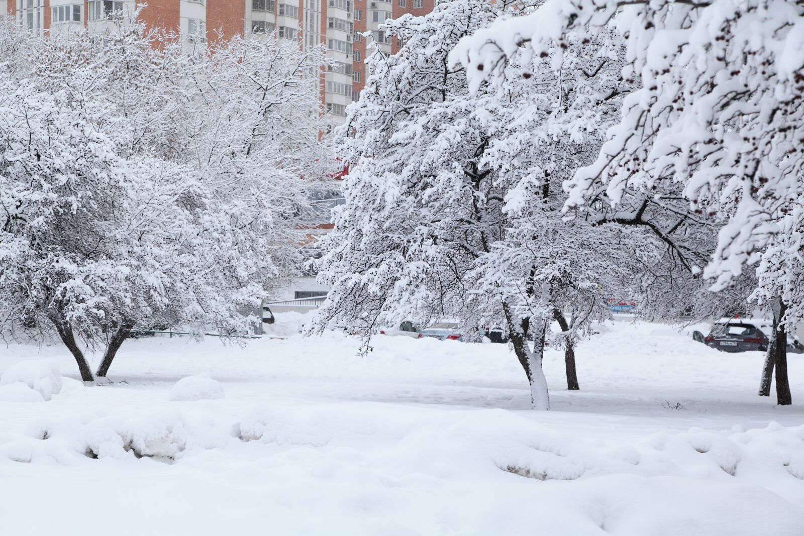 Canon EOS 5D Mark II sample photo. Russian winter, white snow photography