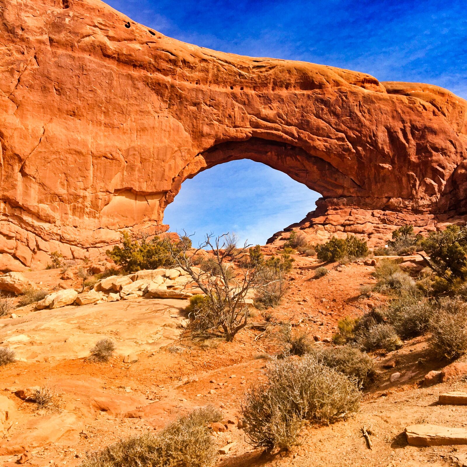 Apple iPhone 6s sample photo. Moab, environment, hiking photography