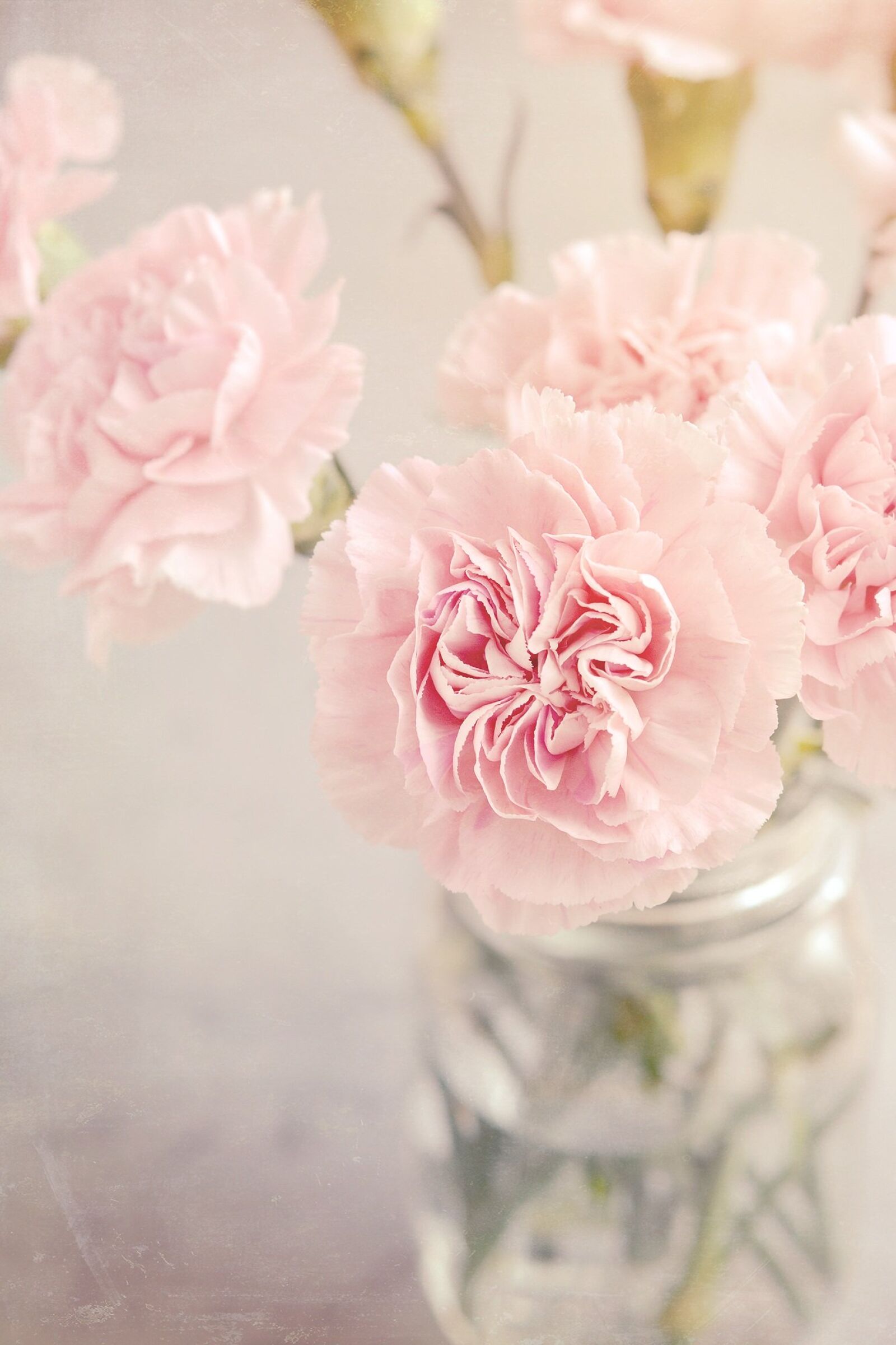 Nikon D7100 sample photo. Cloves, flowers, pink photography
