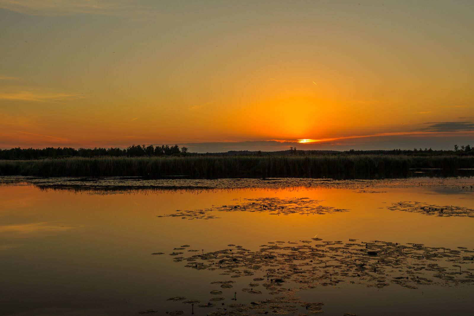 Canon EOS 650D (EOS Rebel T4i / EOS Kiss X6i) sample photo. Sunset, spring lake, bad photography