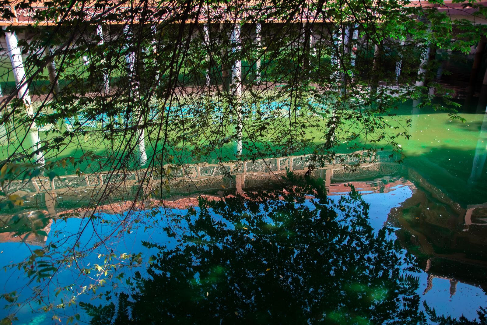 Nikon D5200 sample photo. Tree, art, river photography