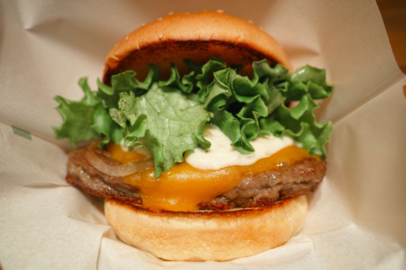 Sigma DP1 Merrill sample photo. Food, restaurant, burger photography