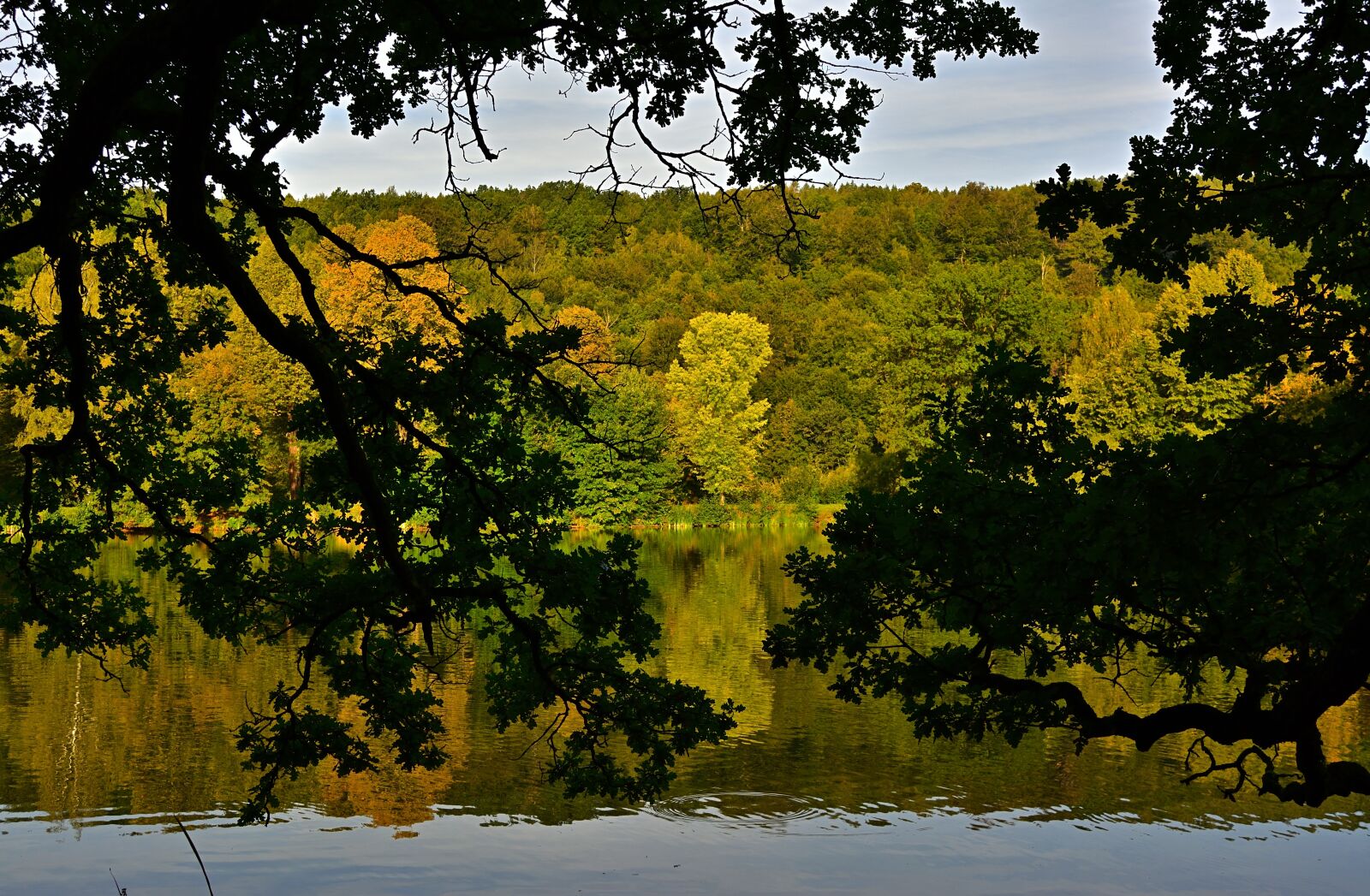Nikon D5200 sample photo. Nature, park, landscape photography