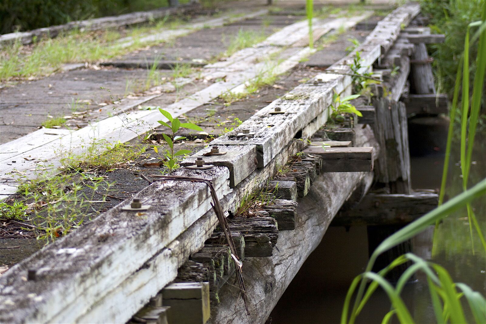 Canon EOS 30D sample photo. Old bridge, bridge, architecture photography