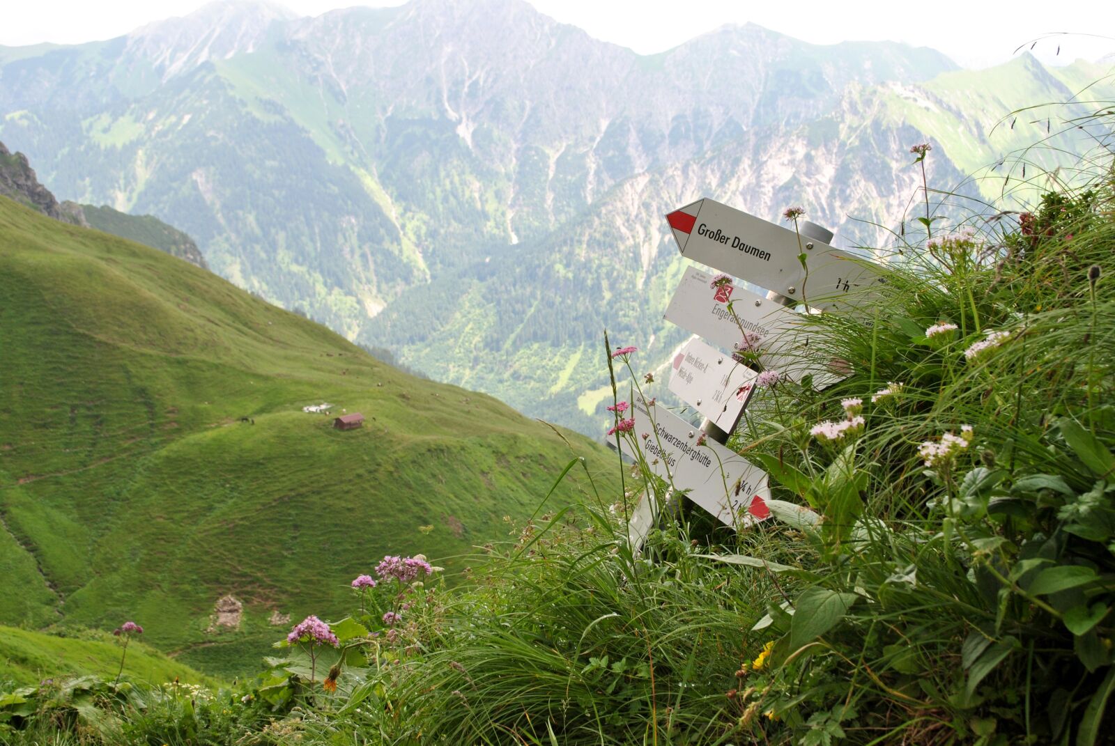 Nikon D3000 sample photo. Mountains, hiking, alpine photography