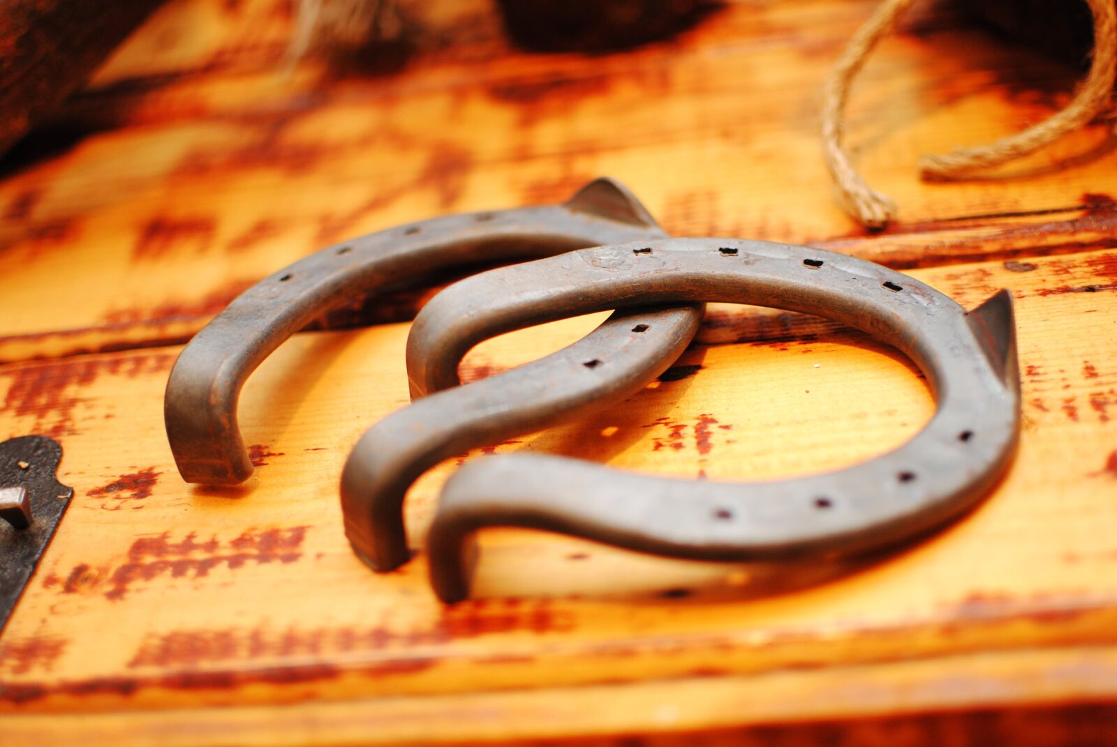 Nikon D3000 sample photo. Horseshoe, iron, luck photography