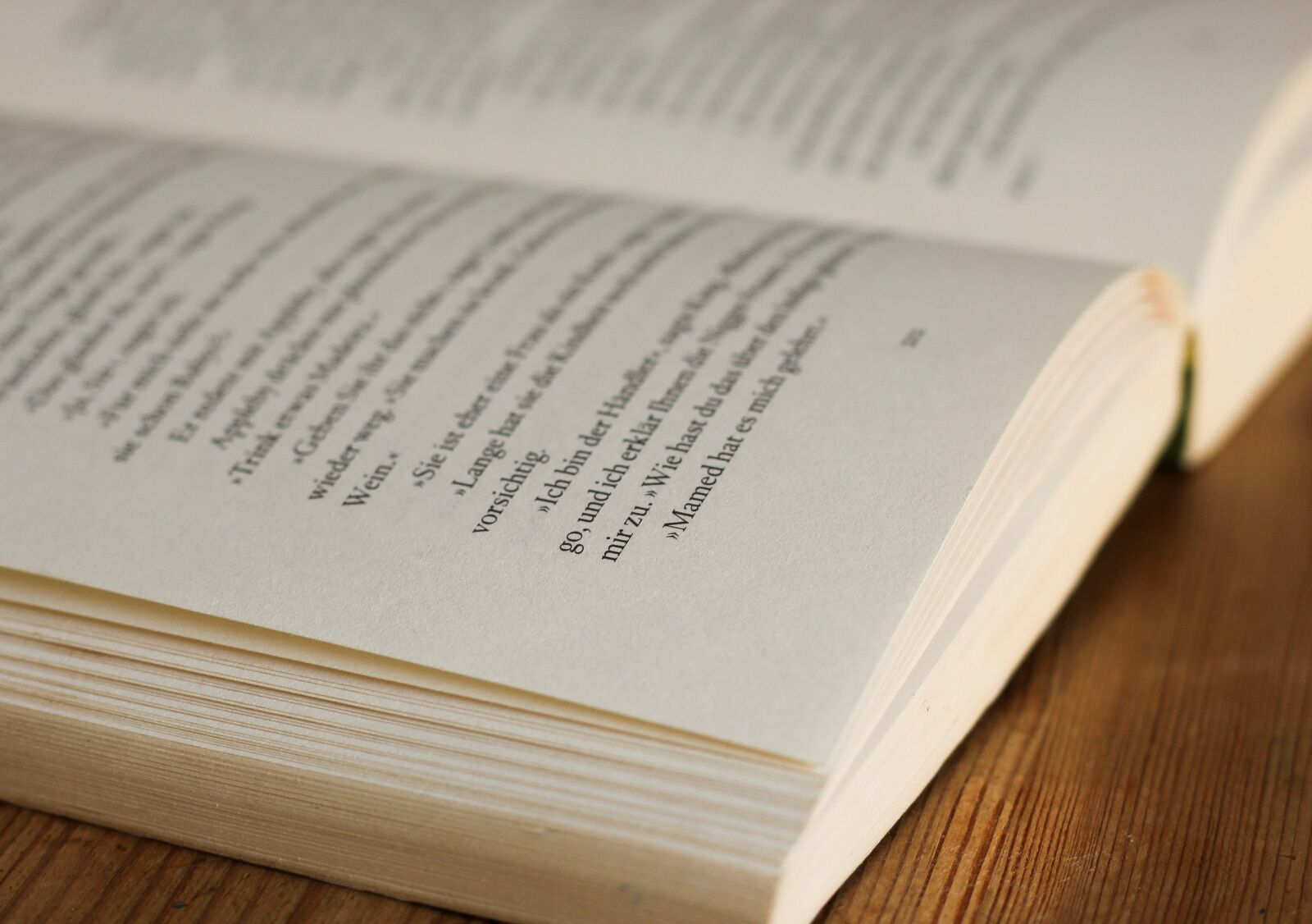 Canon EF 50mm F1.8 STM sample photo. Book, book pages, novel photography