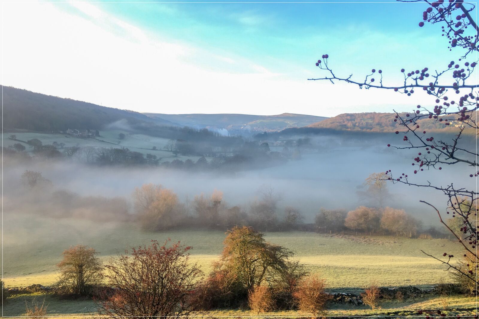 iPhone 6s Plus back camera 4.15mm f/2.2 sample photo. Autumn, nature, fog photography
