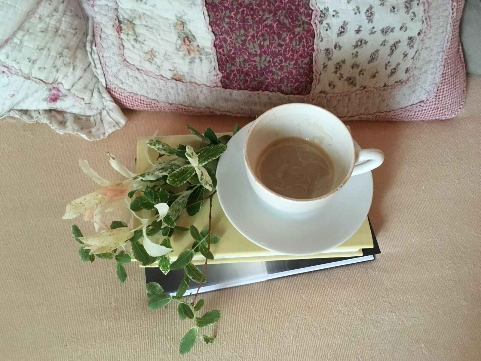 iPhone SE back camera 4.15mm f/2.2 sample photo. Coffee, willow, books photography