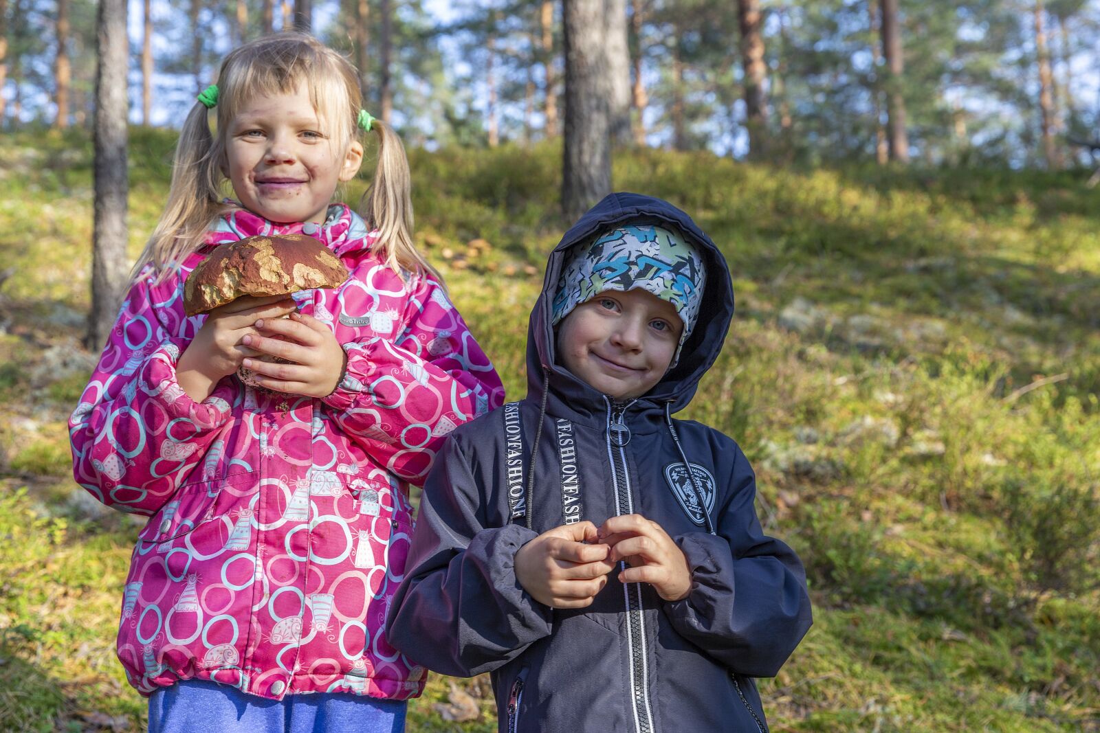 Canon EOS 6D sample photo. Mushrooms, mushroom pickers, quiet photography