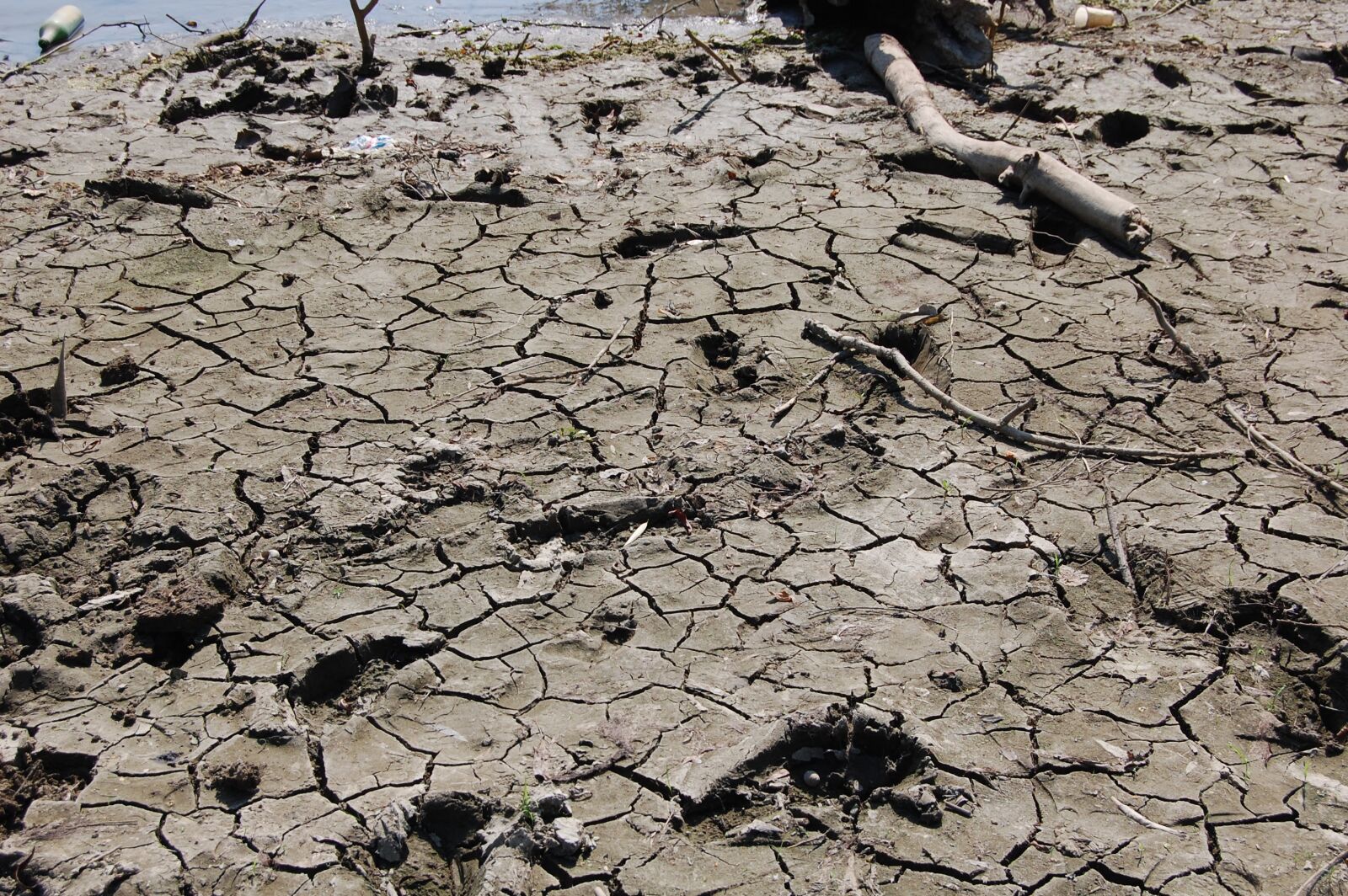 Nikon D40 sample photo. Dry soil, river, coast photography