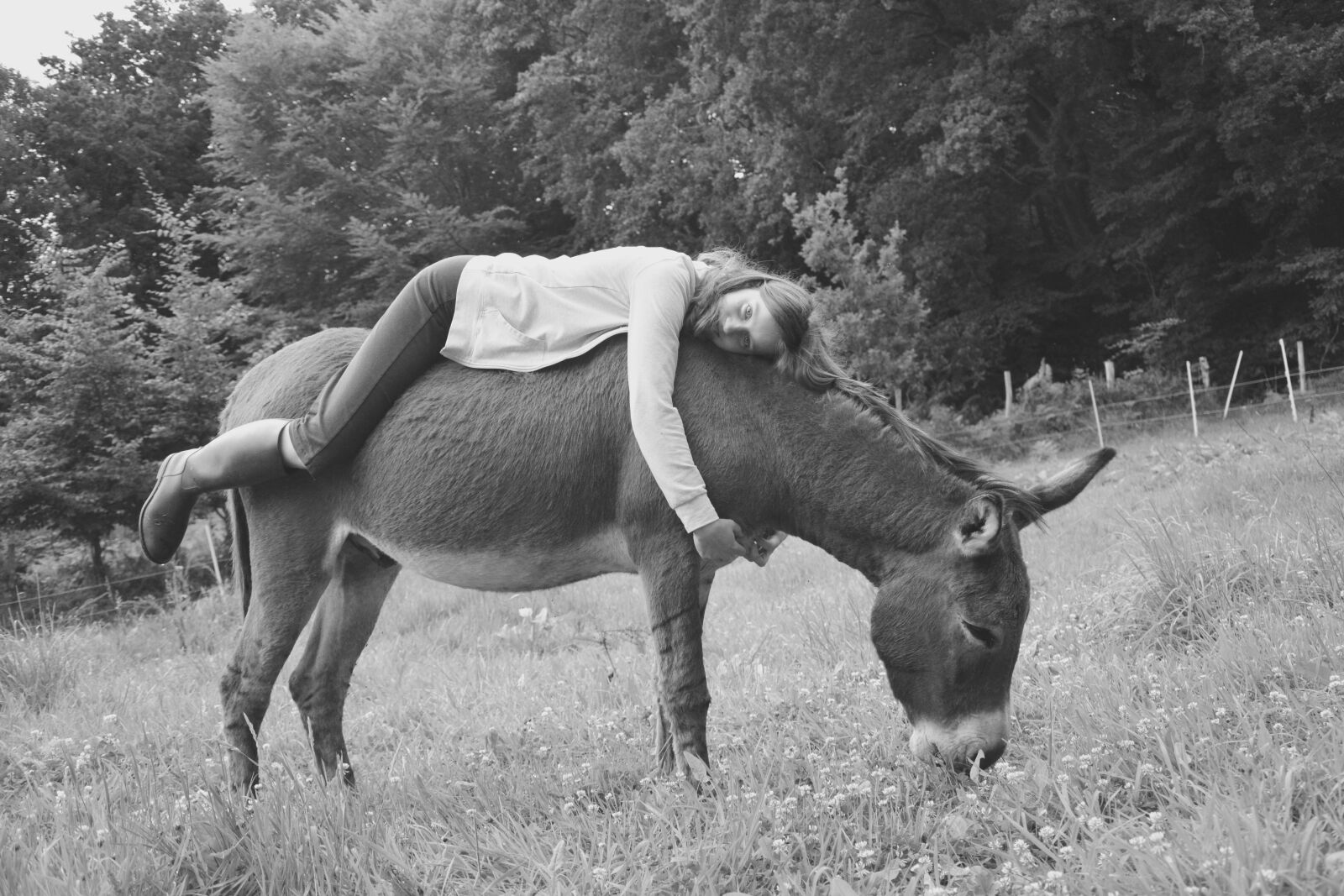 Nikon D5200 sample photo. Donkey, girl, young woman photography