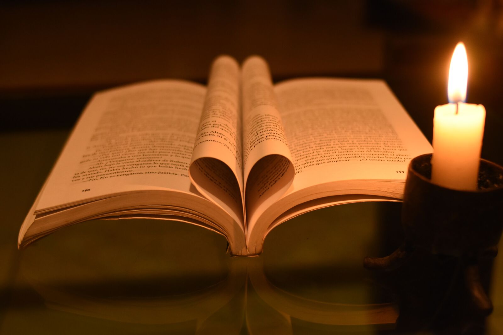 Nikon D3400 sample photo. Literature, book, library photography