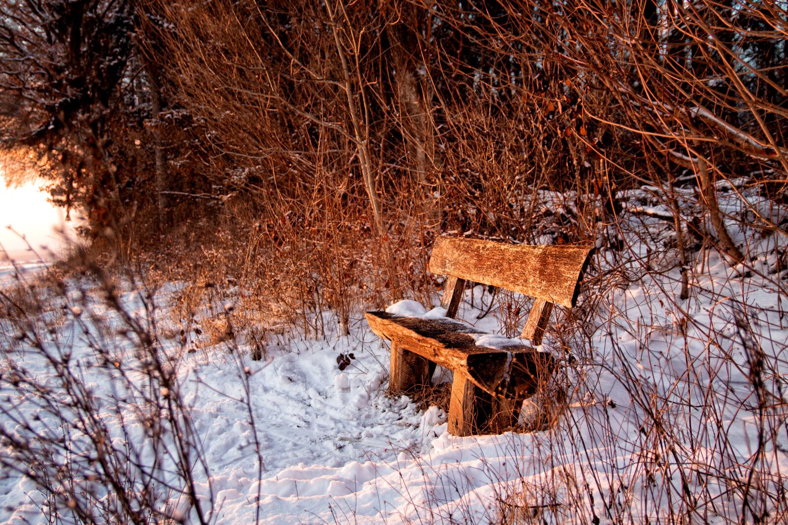 Canon EOS 600D (Rebel EOS T3i / EOS Kiss X5) sample photo. Bank, sit, forest photography