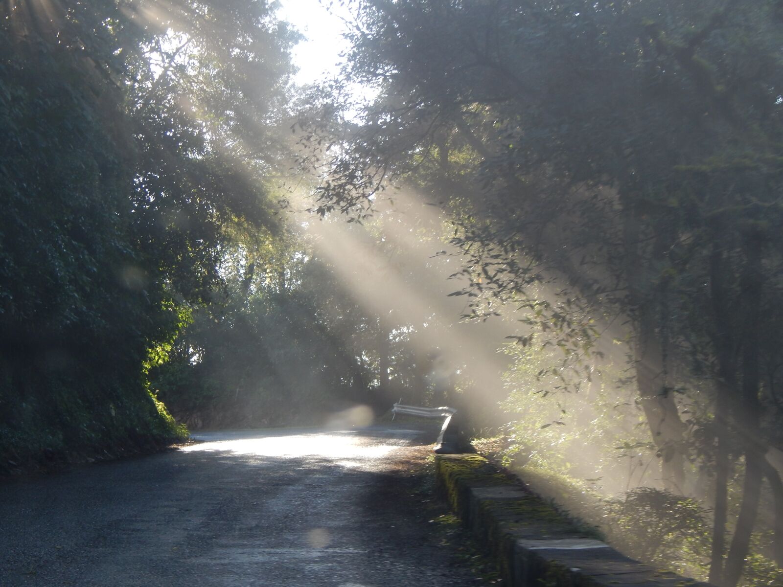 Nikon Coolpix L820 sample photo. San javier, route, road photography