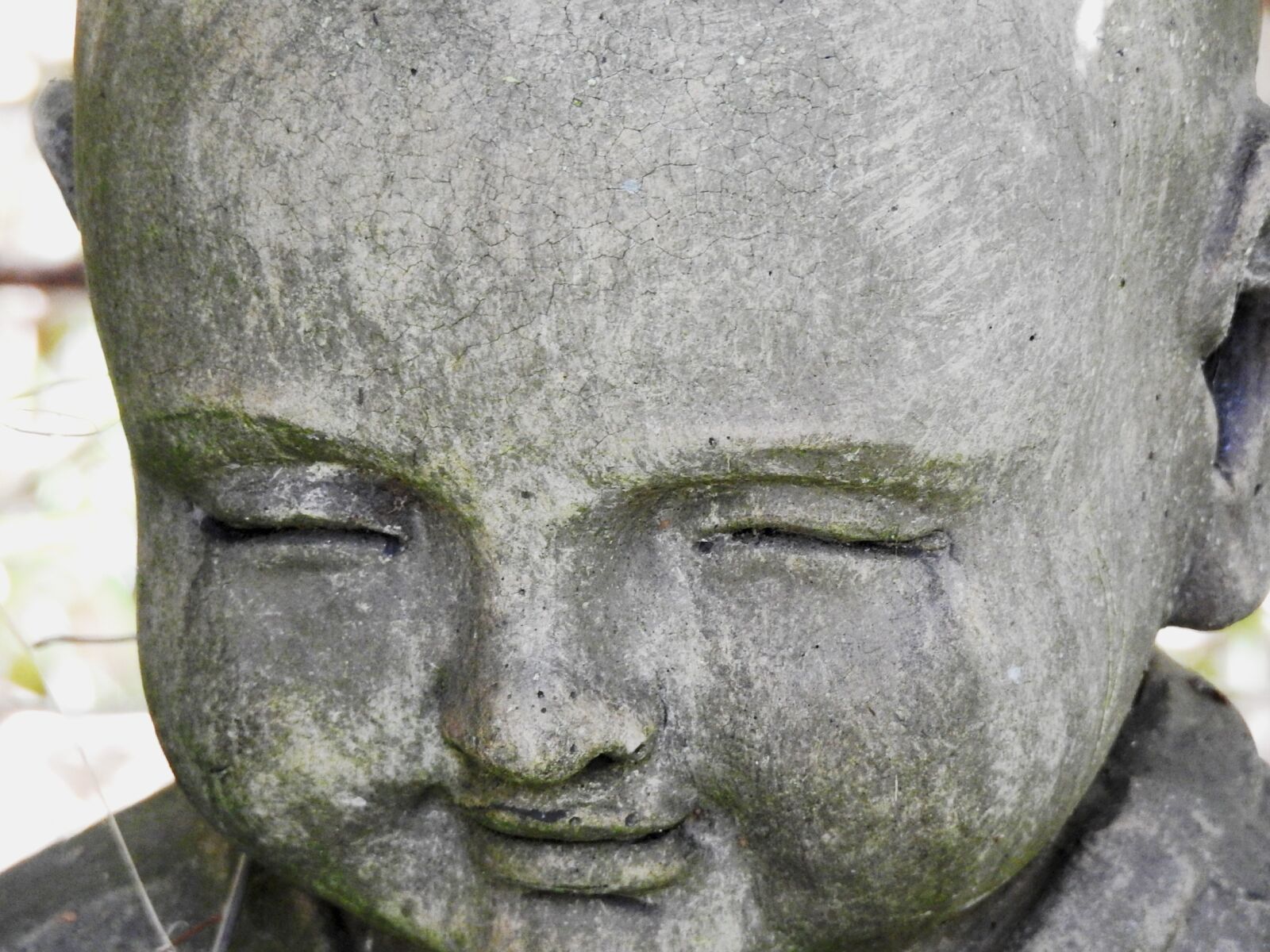 Nikon Coolpix P900 sample photo. Buddha, zen, meditation photography