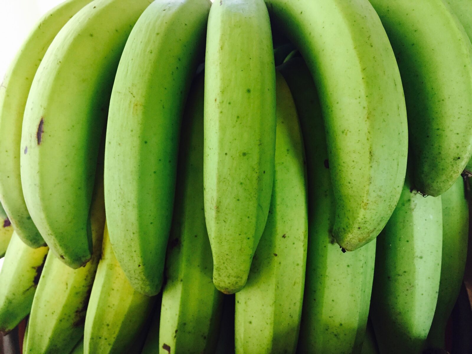 Apple iPhone 6 sample photo. Bananas, green, fruit photography