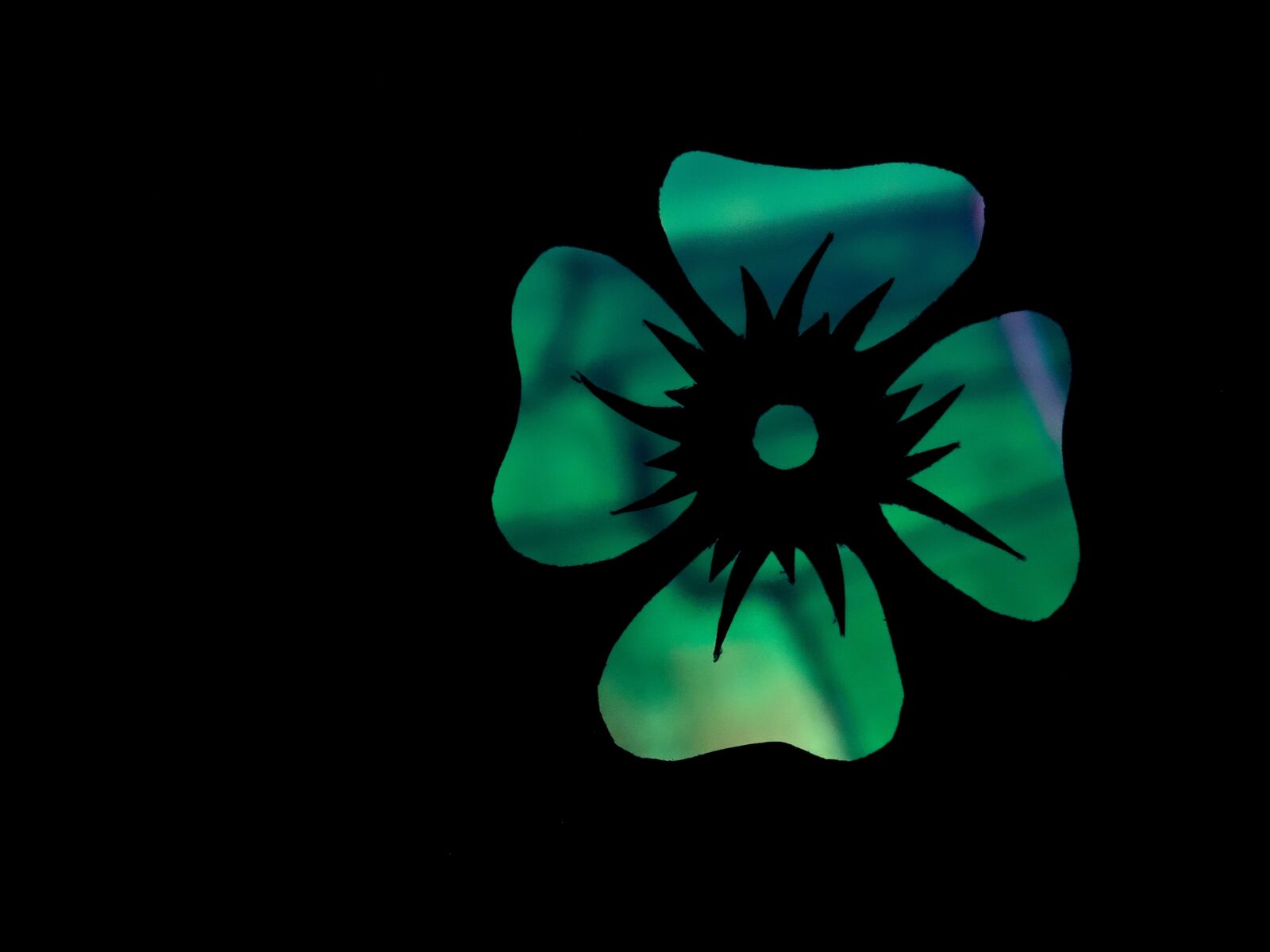 Sony Cyber-shot DSC-HX300 sample photo. Flower, contour, green photography