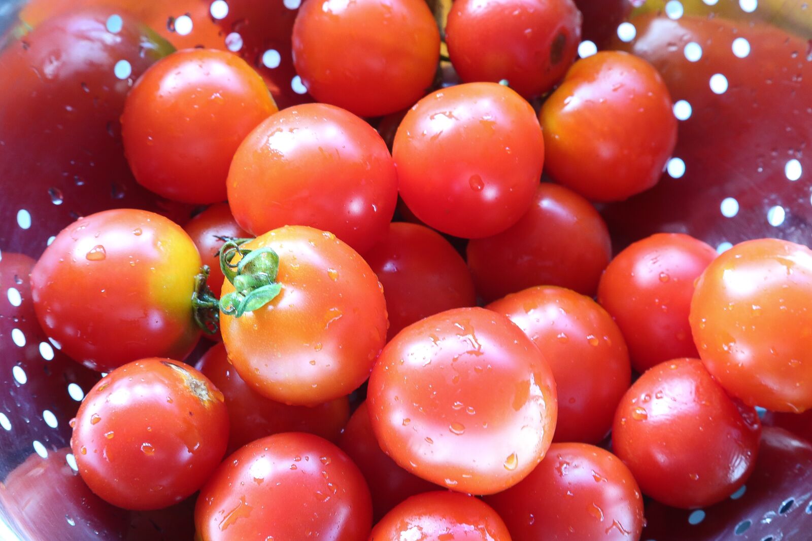 Canon EF 24-105mm F4L IS USM sample photo. Tomato, tomatoes, red photography