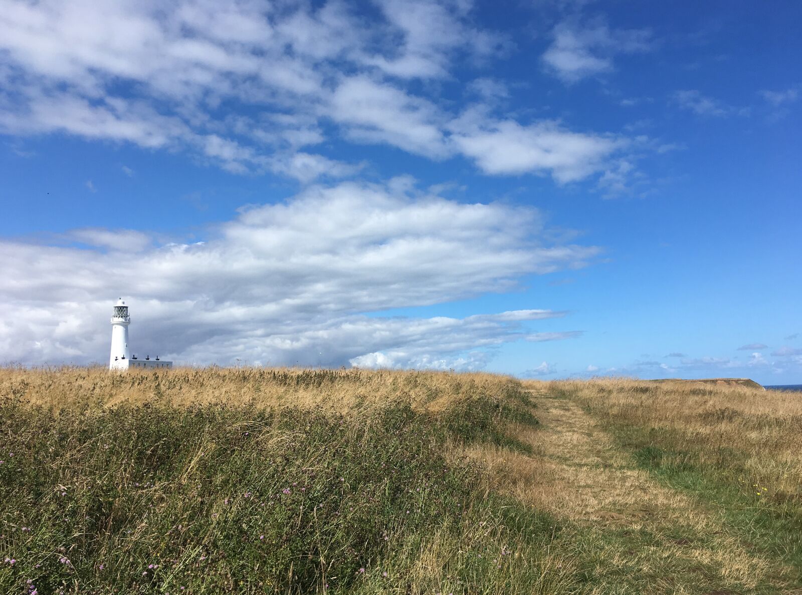iPhone SE back camera 4.15mm f/2.2 sample photo. Lighthouse, flamborough, yorkshire coast photography