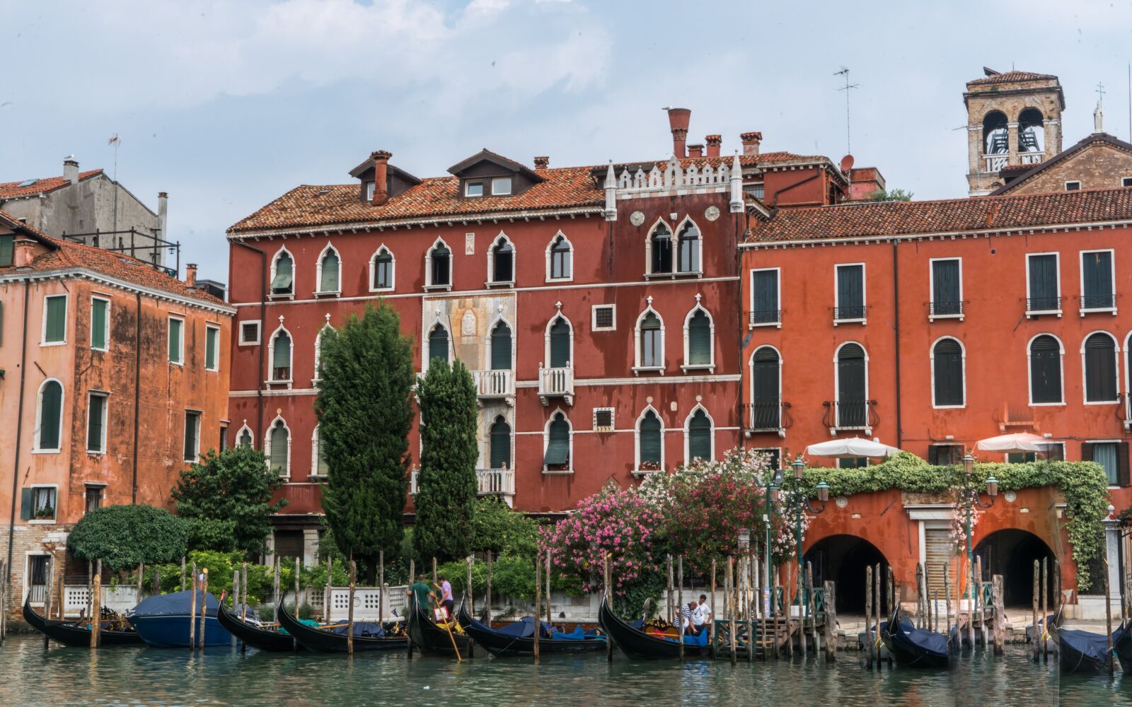 Sony a7R II + Sony FE 24-240mm F3.5-6.3 OSS sample photo. Venice, italy, flowers photography