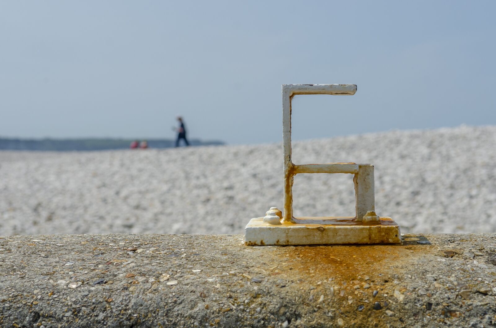 Nikon D7000 sample photo. Figure, six, roller photography