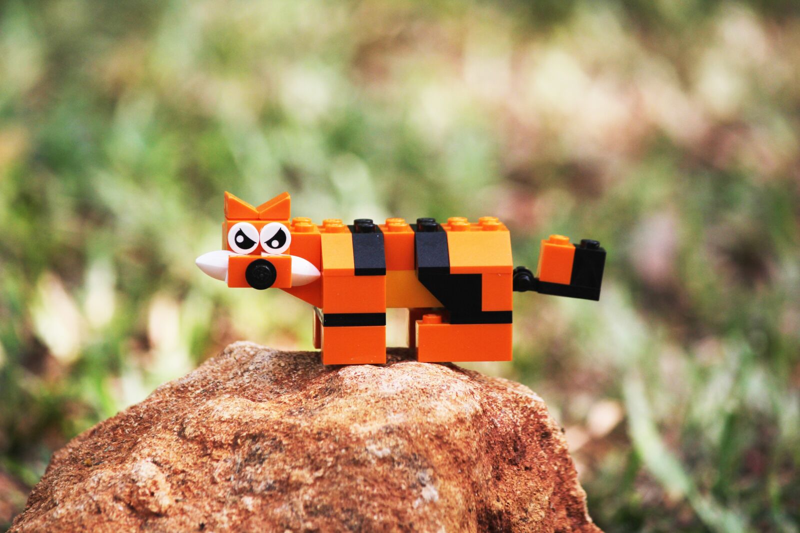 Canon EF-S 55-250mm F4-5.6 IS II sample photo. Tiger, toy, animal photography