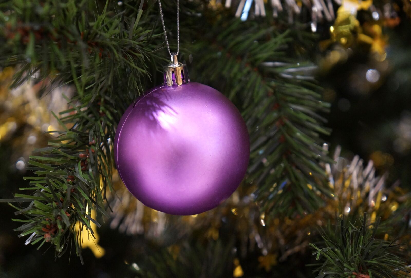 Sony Alpha NEX-F3 + Sony E 18-55mm F3.5-5.6 OSS sample photo. Christmas, results, purple photography
