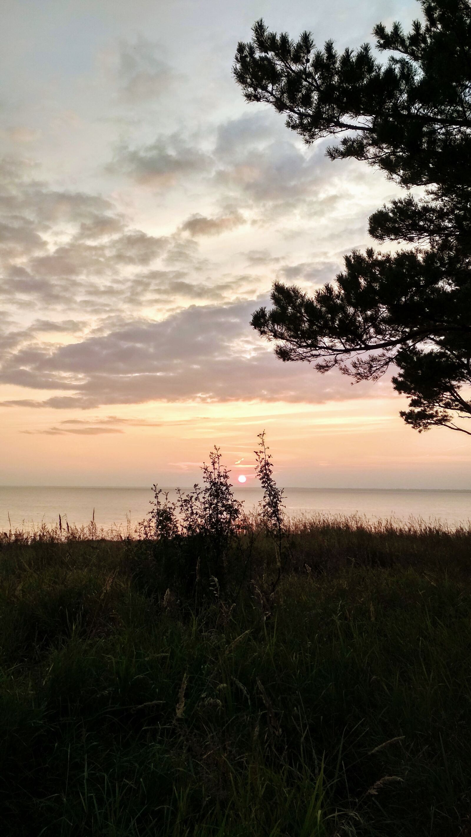 Xiaomi Redmi 4X sample photo. Sun, summer, nature photography