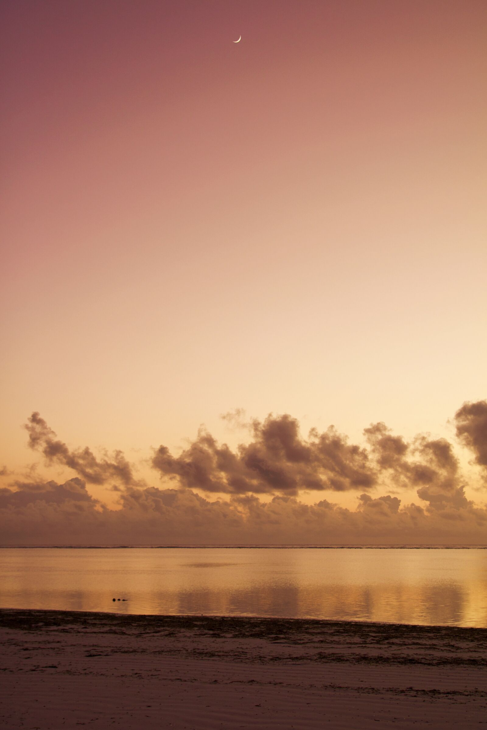 Canon EOS 600D (Rebel EOS T3i / EOS Kiss X5) sample photo. Tanzania, zanzibar, africa photography