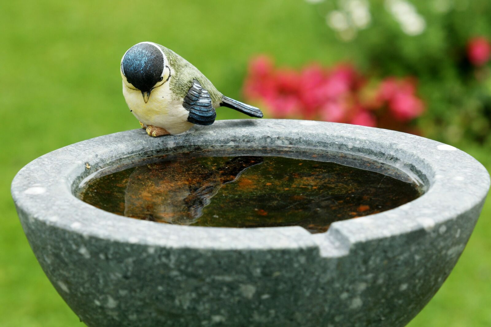 Sony Alpha DSLR-A700 sample photo. Bird, stone, art photography