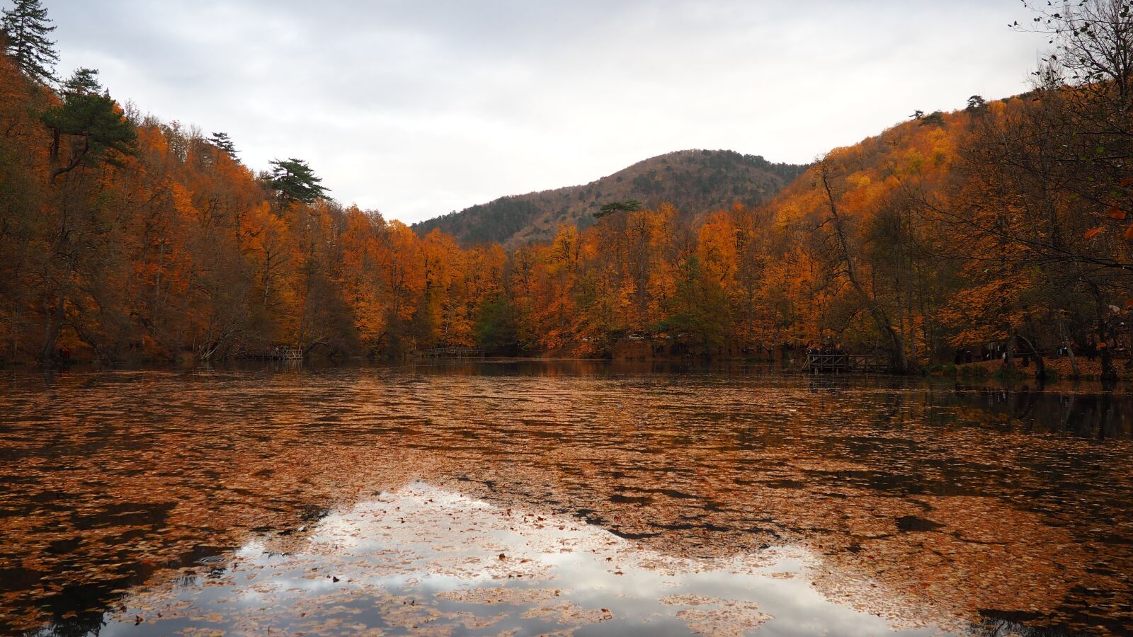 Olympus OM-D E-M10 sample photo. Autumn, peace, nature photography