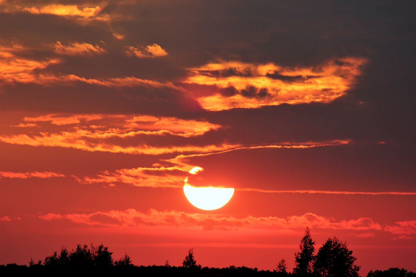 Canon EOS 550D (EOS Rebel T2i / EOS Kiss X4) sample photo. Pink sunset, evening, nature photography