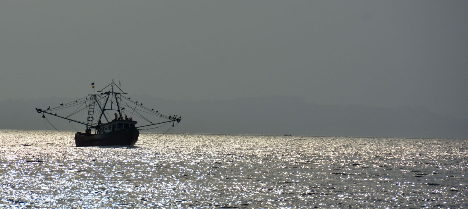 Nikon D7100 sample photo. Shrimping in sunset, veracruz photography