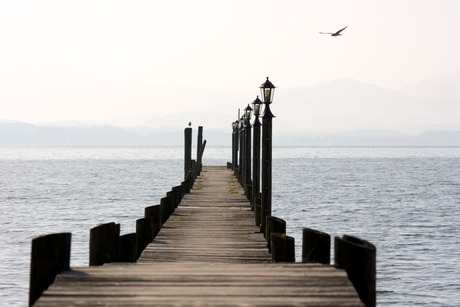 Nikon D7100 sample photo. Web, boardwalk, water photography