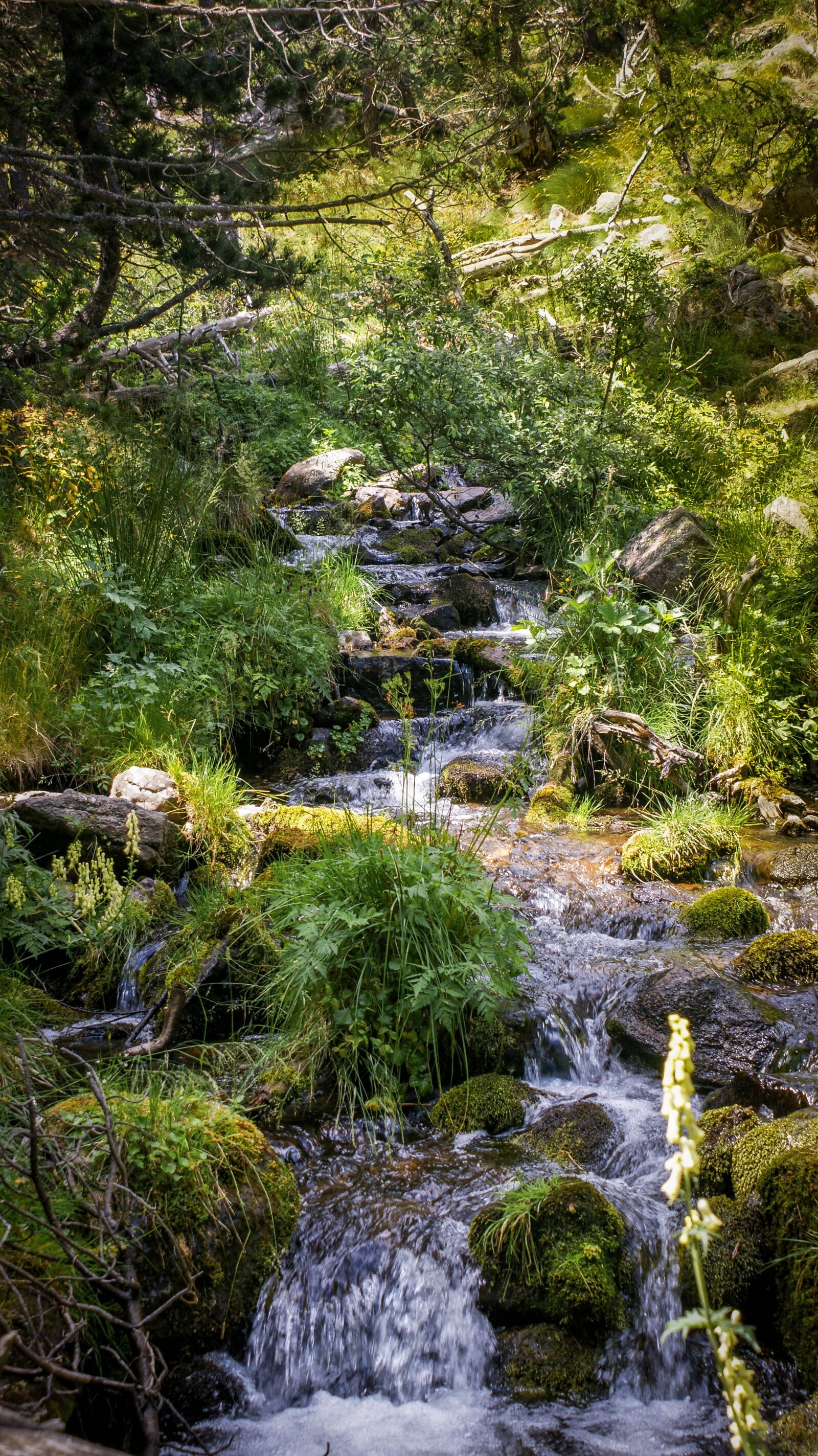 Sony Alpha DSLR-A700 sample photo. Cascade, water, creek photography
