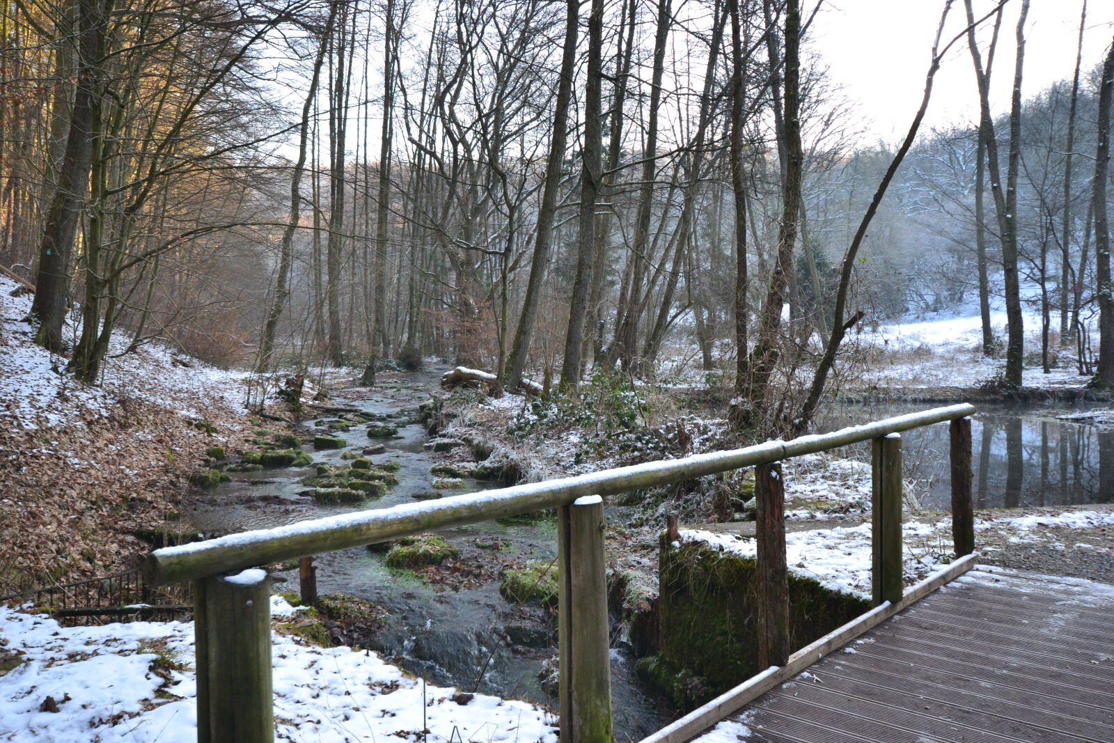 Nikon D3100 sample photo. Bridge, brook, cold, forest photography