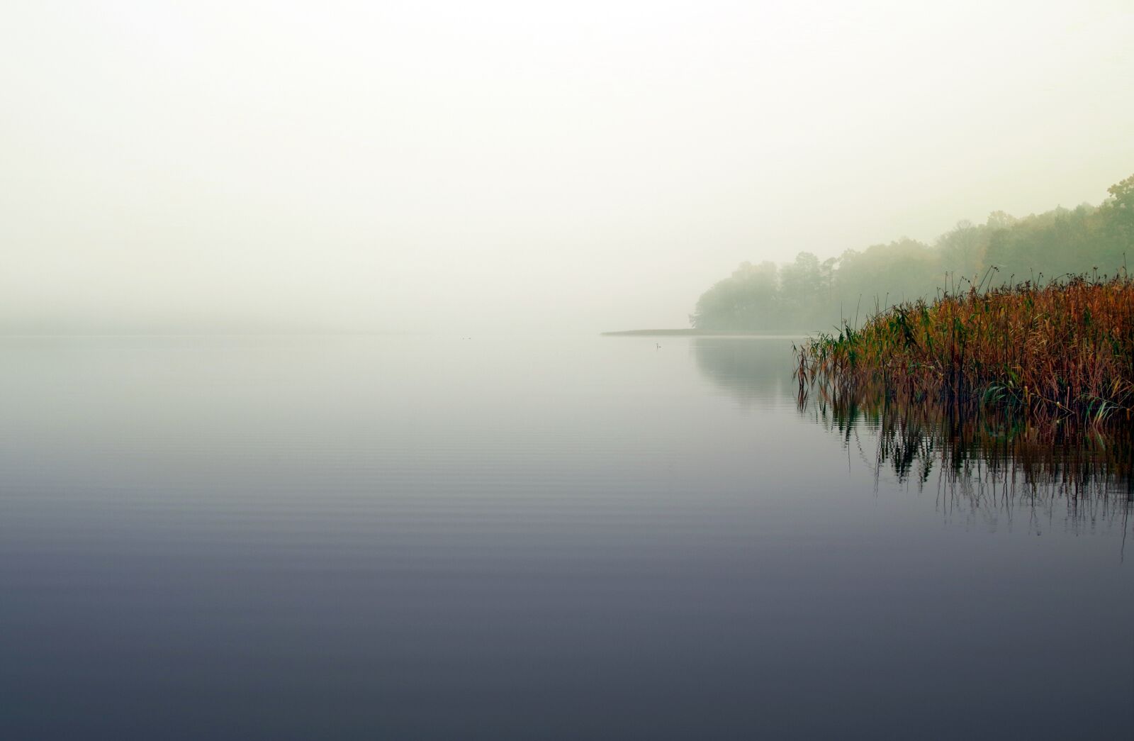 Pentax K-S2 sample photo. Lake, the fog, sweet photography