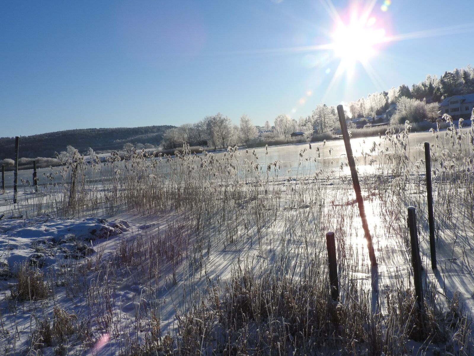 Nikon Coolpix P610 sample photo. Winter, snow, cold photography