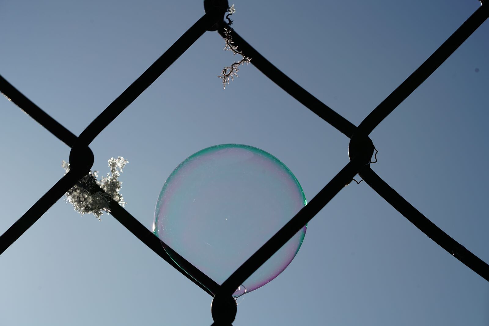 Sony a7R II + Sony FE 90mm F2.8 Macro G OSS sample photo. Fence, winter, soap bubble photography