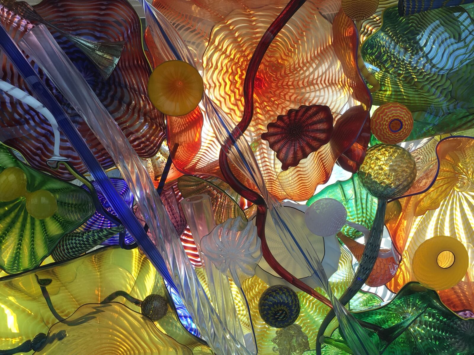 Apple iPhone 6s Plus + iPhone 6s Plus back camera 4.15mm f/2.2 sample photo. Chihuly, tacoma museum of photography